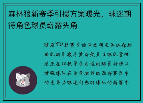 森林狼新赛季引援方案曝光，球迷期待角色球员崭露头角