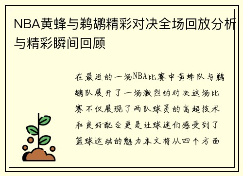 NBA黄蜂与鹈鹕精彩对决全场回放分析与精彩瞬间回顾