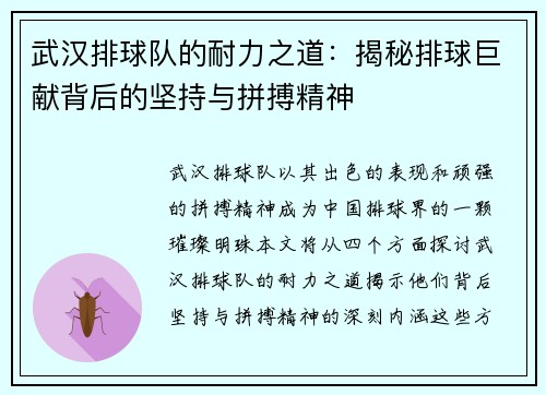 武汉排球队的耐力之道：揭秘排球巨献背后的坚持与拼搏精神
